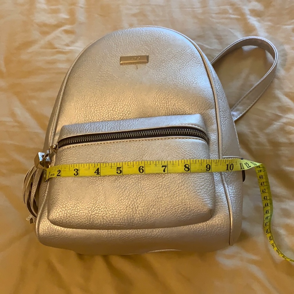 ALDO Backpack